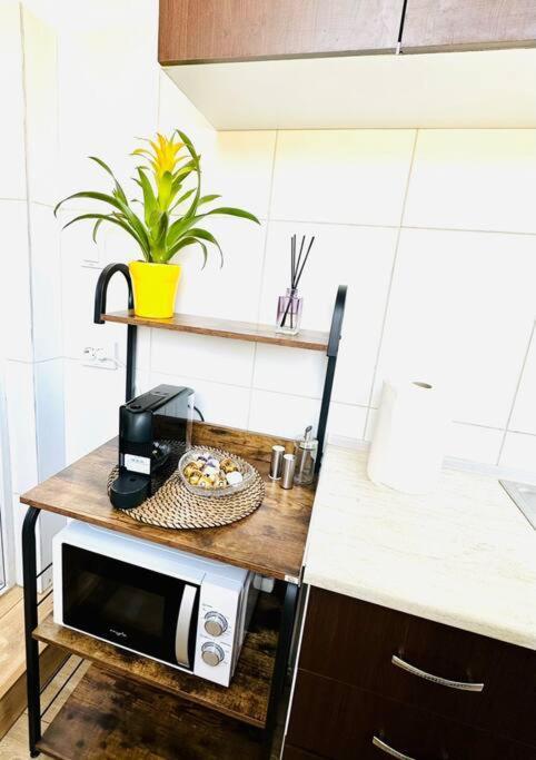 Cozy 1Br Apartment•Central•Quiet 布加勒斯特 外观 照片